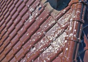 Quality Roofing Services for Ellisville Residents